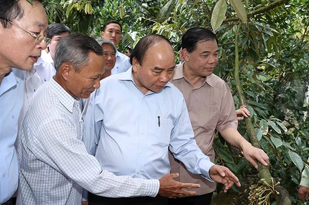 Thủ tướng Nguyễn Xuân Phúc thăm mô hình chuyển đổi sản xuất cây nông nghiệp chuyên trồng sầu riêng tại gia đình ông Mai Văn Âu, xã Hiệp Đức, huyện Cai Lậy, tỉnh Tiền Giang. Ảnh: THỐNG NHẤT (TTXVN)