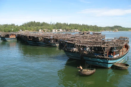 Tàu câu mực của ngư dân xã Bình Chánh, huyện Bình Sơn (Quảng Ngãi).