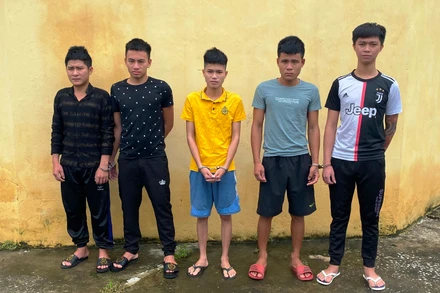 Năm đối tượng bị bắt giam về hành vi gây rối trật tự công cộng.