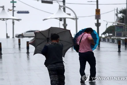 Người dân di chuyển trên đường phố Busan, Hàn Quốc. (Ảnh: Yonhap)