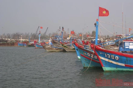 Hàng trăm tàu thuyền đã di chuyển vào khu trú ẩn.
