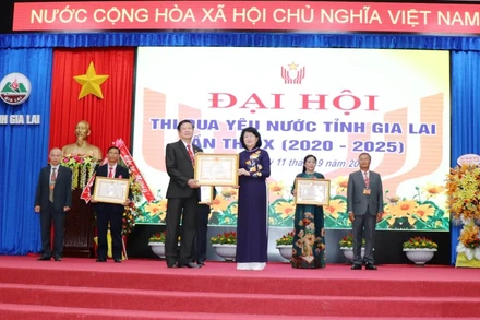 Phó Chủ tịch nước Đặng Thị Ngọc Thịnh, trao bằng khen cho các tập thể, cá nhân đạt thành tích xuất sắc trong phong trào thi đua yêu nước tỉnh Gia Lai.