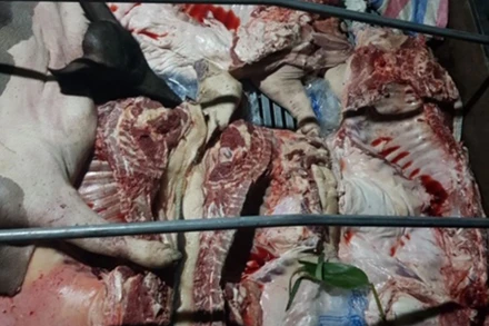 Số thịt lợn được phát hiện đều có kết quả xét nghiệm dương tính với virus dịch tả lợn châu Phi.
