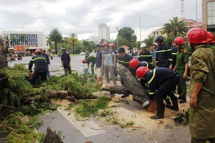 Các lực lượng chức năng đang thu dọn cây xanh bị ngã đổ trên các tuyến phố.