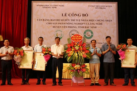 Cấp chứng nhận bánh tẻ, bánh đa nem, nếp cái hoa vàng Yên Phong, Bắc Ninh