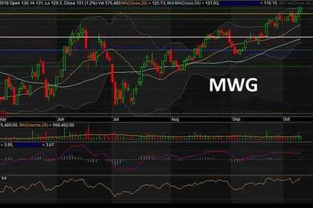 VSD đã chuyển quyền 1,7 triệu cổ phiếu MWG cho các nhà đầu tư. (Ảnh minh họa)