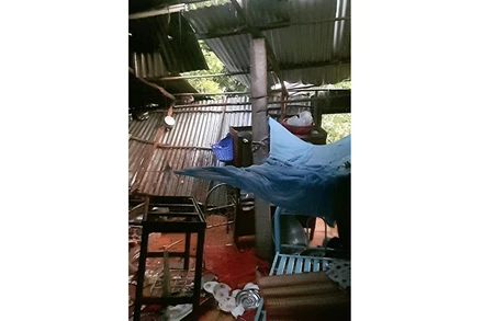 Chỉ trong tháng 9, lốc xoáy đã gây sập và tốc máy 133 căn nhà của người dân ở huyện Long Hồ (tỉnh Vĩnh Long). 