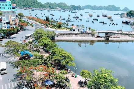 Quang cảnh vịnh Cát Bà (huyện Cát Hải).