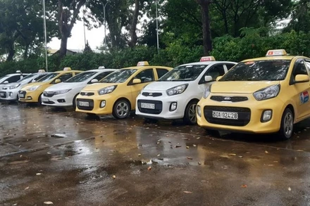 Số xe ô-tô taxi đang bị tạm giữ. 