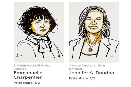Hai nhà khoa học sẽ chia đôi Giải Nobel Hóa học năm 2020. (Nguồn: nobelprize.org)