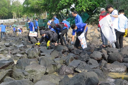 WWF giúp cải thiện môi trường tại danh thắng Hòn Yến