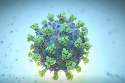 Hình ảnh mô phỏng Betacoronavirus. (Ảnh: Reuters)