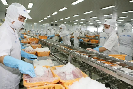 Thủy sản là một trong những mặt hàng đang tận dụng hiệu quả EVFTA.