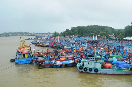 Tàu cá của ngư dân Bình Sơn (Quảng Ngãi) vào bờ tránh bão số 6.