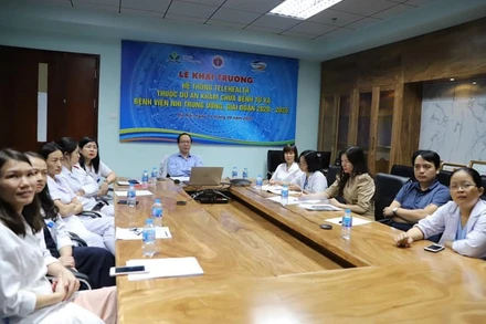 Các bác sĩ hội chẩn trực tuyến ca bệnh. 