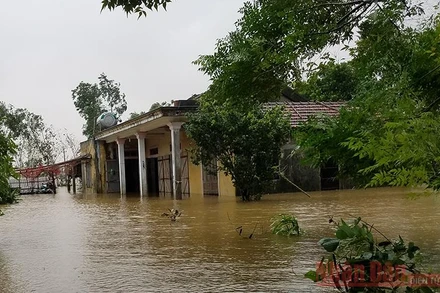 Người dân Quảng Bình vừa mới dọn nhà, chưa kịp khô lại ngập trong nước lũ.