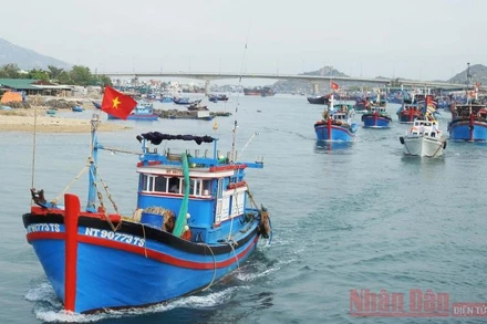 Tàu thuyền ở Ninh Thuận được thông báo và hướng dẫn di chuyển đến nơi tránh trú an toàn, tránh bão số 9. Ảnh: NGUYỄN TRUNG.