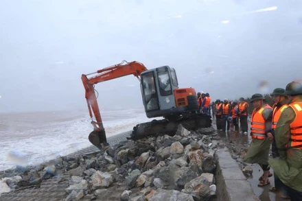 Khẩn trương khắc phục các điểm sập, sạt trên mái kè đê biển huyện Hải Hậu (Nam Định). 