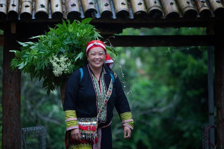 Chị Tẩn Tả Mẩy chuẩn bị nguyên liệu từ các cây dược liệu của người Dao.