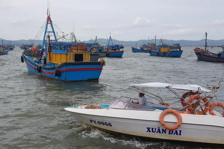 Tàu thuyền neo đậu an toàn tại cảng cá Dân Phước, thị xã Sông Cầu, tỉnh Phú Yên. 