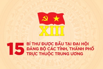 [Infographic] 15 bí thư được bầu tại Đại hội Đảng bộ các tỉnh, thành phố trực thuộc Trung ương