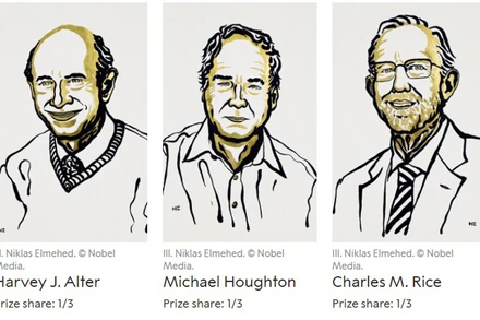 Chân dung của chủ nhân giải Nobel Y học năm 2020. (Nguồn: nobelprize.org)