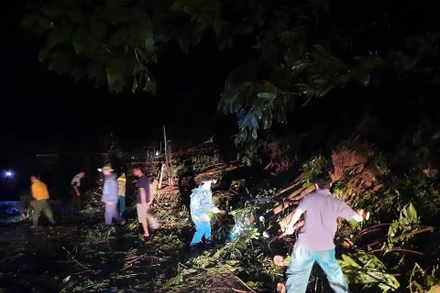 Các lực lượng nỗ lực dọn dẹp cây cối thông tuyến lên Bắc Trà My. Ảnh: Báo Quảng Nam.