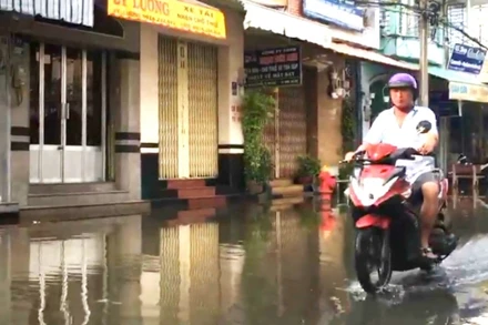 Triều cường kèm mưa lớn kéo dài, gây ngập nhiều nơi tại Bạc Liêu