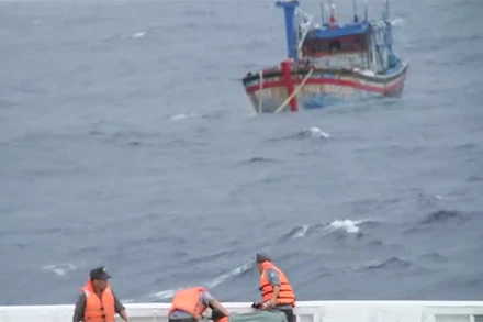 Tàu cá BĐ 98658 TS được tàu kiểm ngư KN 467 lai dắt vào bờ.