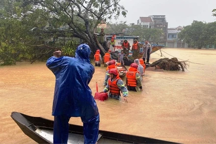 Chiếc thuyền rồng du lịch bị cây lớn bật gốc, đè ngang thuyền.