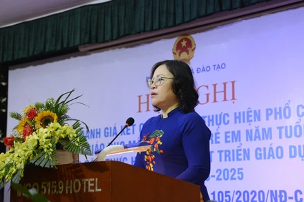 Thứ trưởng Bộ GD-ĐT Ngô Thị Minh phát biểu tại hội nghị 