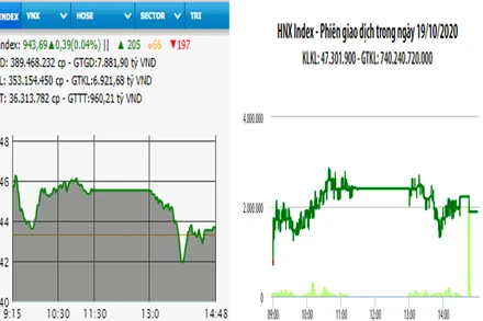 Diễn biến VN-Index và HNX-Index, phiên giao dịch ngày 19-10. 