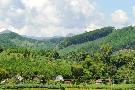 Vùng miền núi tỉnh Quảng Ngãi thường hay xảy ra động đất.