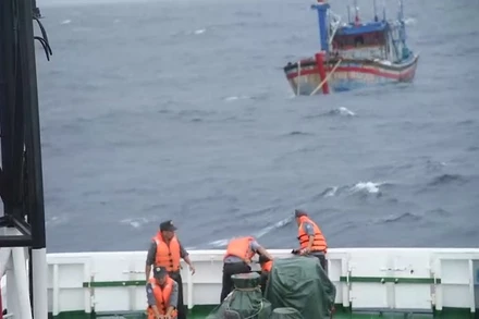 Sáng 29-10, tàu cá BĐ 98658 TS đang được tàu kiểm ngư KN 467 lai dắt vào bờ.