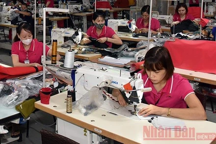 Nghị quyết số 154/NQ-CP giảm bớt điều kiện hỗ trợ người sử dụng lao động vay trả lương ngừng việc do gặp khó khăn bởi Covid-19 (Ảnh minh họa: Duy Linh).