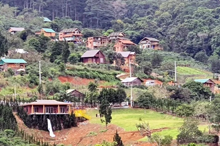 “Làng biệt thự” xây dựng trái phép trên đất lâm nghiệp.