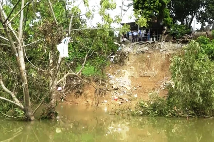 Điểm đê bao xã Thạch Định, huyện Thạch Thành bị sạt lở.