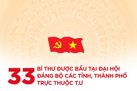 [Infographic] 33 Bí thư được bầu tại Đại hội Đảng bộ các tỉnh, thành phố trực thuộc T.Ư