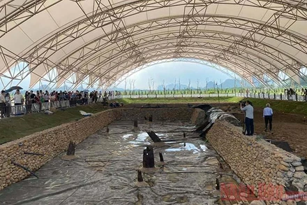 Các nhà khoa học tham quan khảo sát bãi cọc Cao Quỳ. Ảnh: LƯU PHƯƠNG MAI