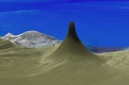 Rạn san hô mới phát hiện cao hơn 500 m, cách mặt biển 40 m. Ảnh: Viện Đại dương Schmidt.