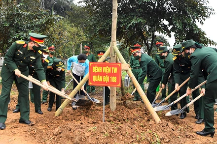 Các đại biểu tham gia trồng cây.