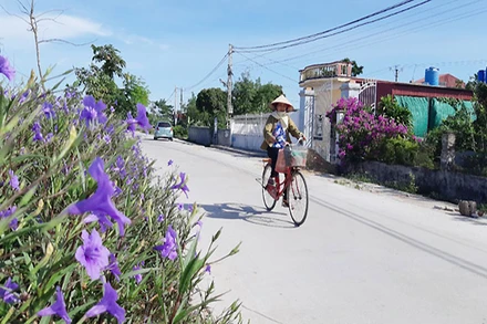 Các “Tuyến đê kiểu mẫu” ở tỉnh Thái Bình vừa bảo đảm an toàn thoát lũ, vừa phục vụ đời sống dân sinh.