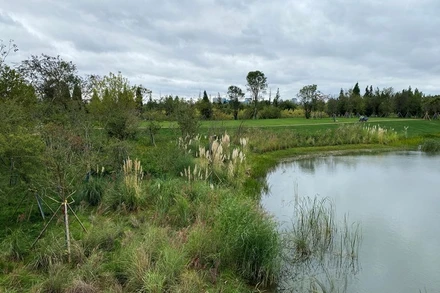 Ảnh chụp một phần của dự án phục hồi vùng đất ngập nước ven hồ Điền Trì ở thành phố Côn Minh, tỉnh Vân Nam, Trung Quốc, ngày 14/10/2021. (Ảnh: Reuters)