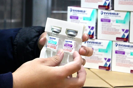 Kháng thể đơn dòng Evusheld là hỗn hợp gồm 2 kháng thể kết hợp với nhau là Tixagevimab và Cilgavimab.