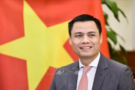 Đại sứ Đặng Hoàng Giang, Trưởng Phái đoàn Thường trực Việt Nam tại Liên hợp quốc. (Ảnh: TTXVN)