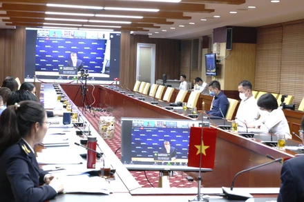 Chiến dịch đã triển khai qua 3 giai đoạn chính và 1 giai đoạn mở rộng với sự tham gia của 20 cơ quan Hải quan và thực thi pháp luật trong khu vực châu Á-Thái Bình Dương.