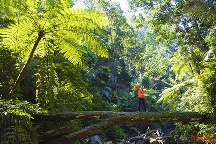 Khám phá rừng Động Châu ở Quảng Bình. Ảnh: KIÊN TRẦN