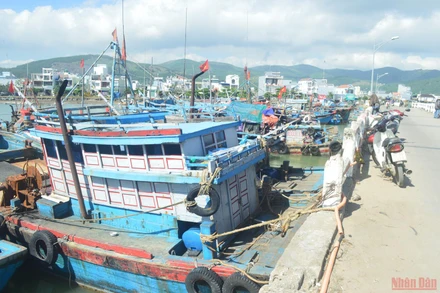 Rất đông tàu cá lấy trụ cầu, lan can cầu làm nơi neo đậu gây nguy cơ mất an toàn cho cầu Thạnh Đức. 