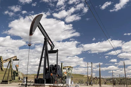 EIA đã nâng dự báo giá dầu Brent lên mức 116 USD/thùng trong quý II/2022. Ảnh: Reuters