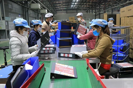 Công nhân Công ty TNHH Deli Việt Nam, Khu công nghiệp Yên Phong, Bắc Ninh làm việc. 